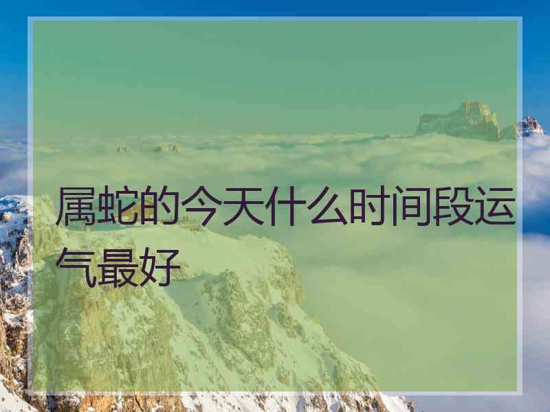 属蛇的今天什么时间段运气最好