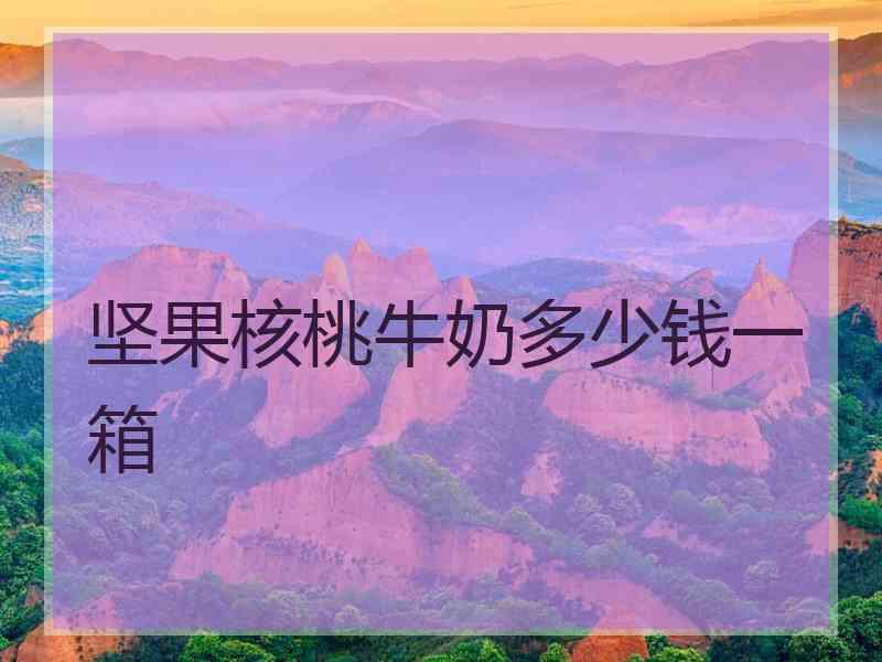 坚果核桃牛奶多少钱一箱