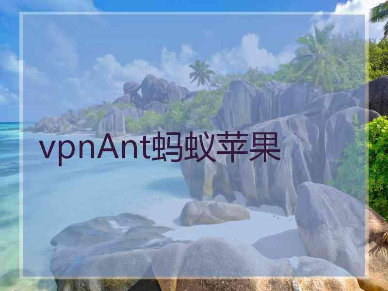 vpnAnt蚂蚁苹果