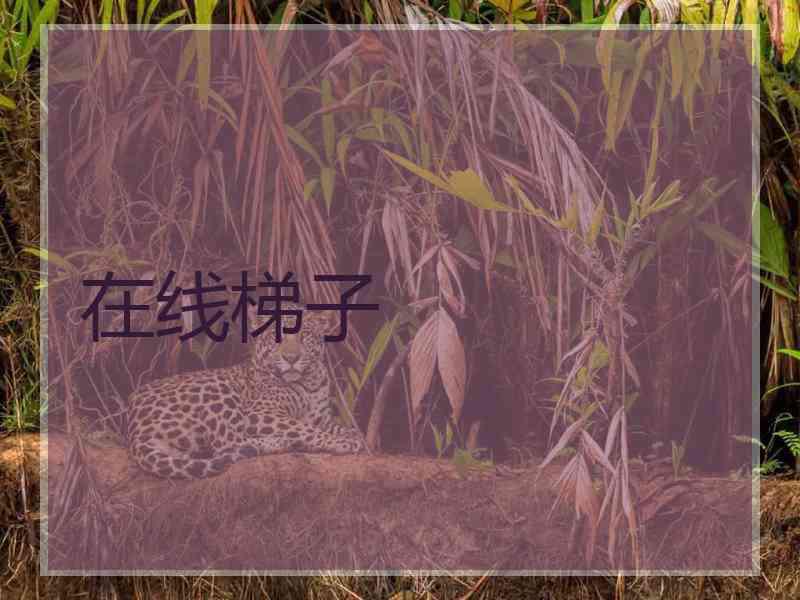 在线梯子
