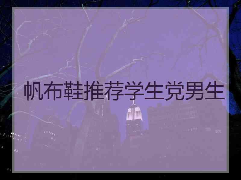 帆布鞋推荐学生党男生