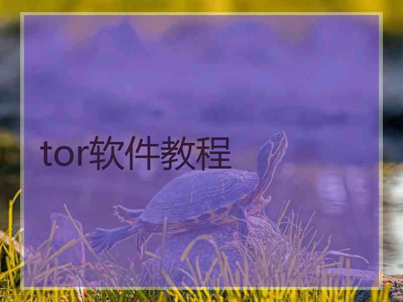 tor软件教程