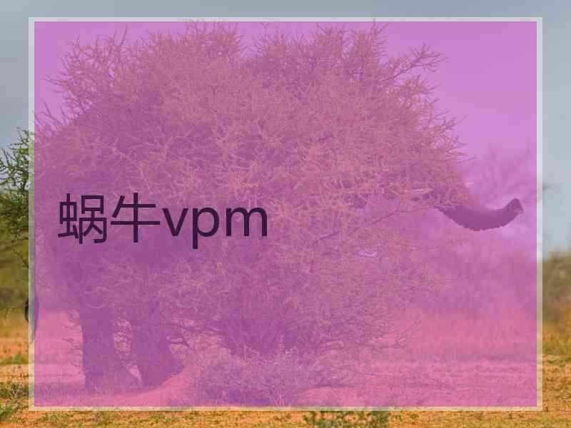 蜗牛vpm