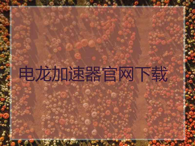电龙加速器官网下载