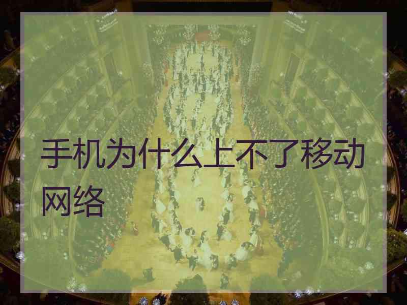手机为什么上不了移动网络