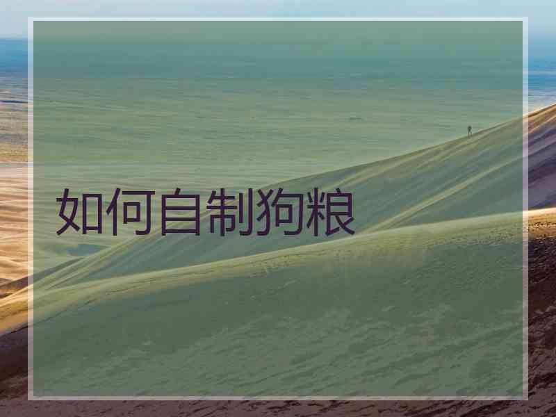 如何自制狗粮