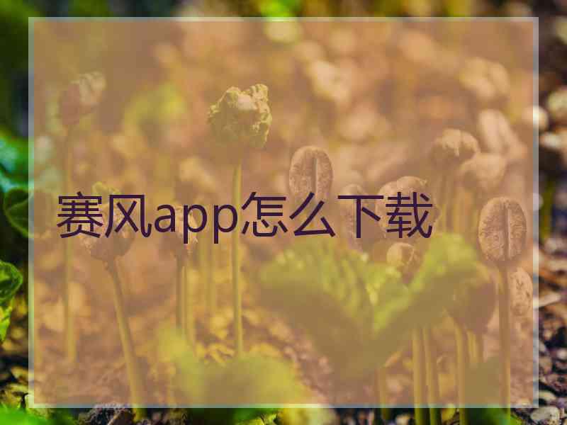 赛风app怎么下载