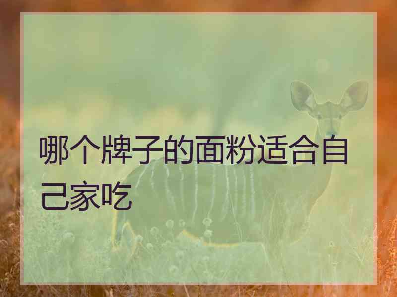 哪个牌子的面粉适合自己家吃