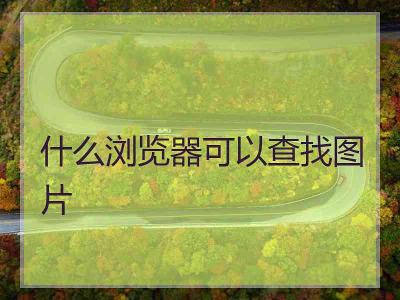 什么浏览器可以查找图片