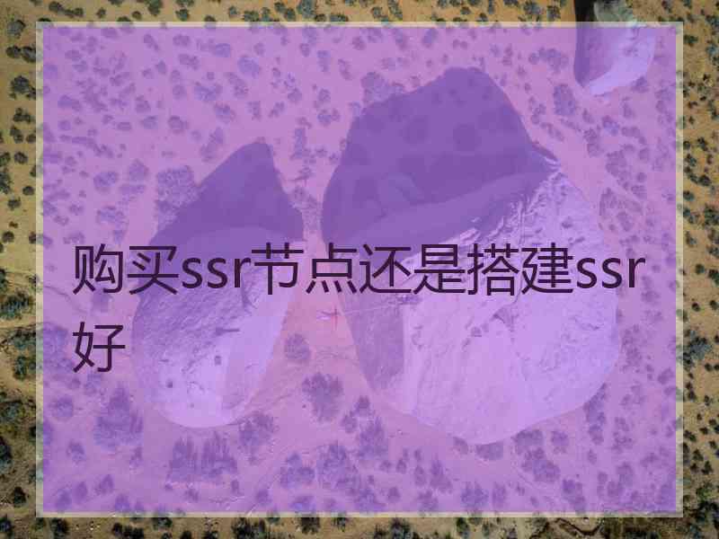 购买ssr节点还是搭建ssr好