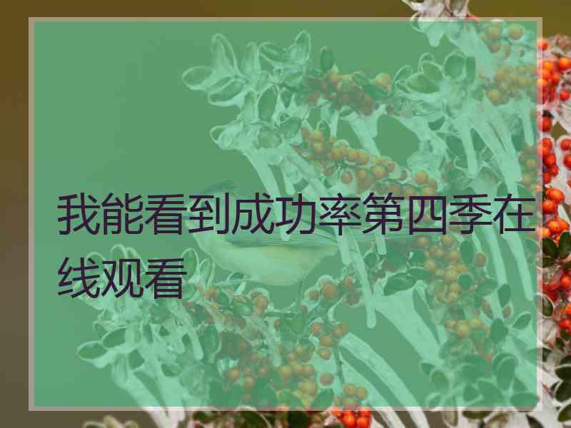 我能看到成功率第四季在线观看