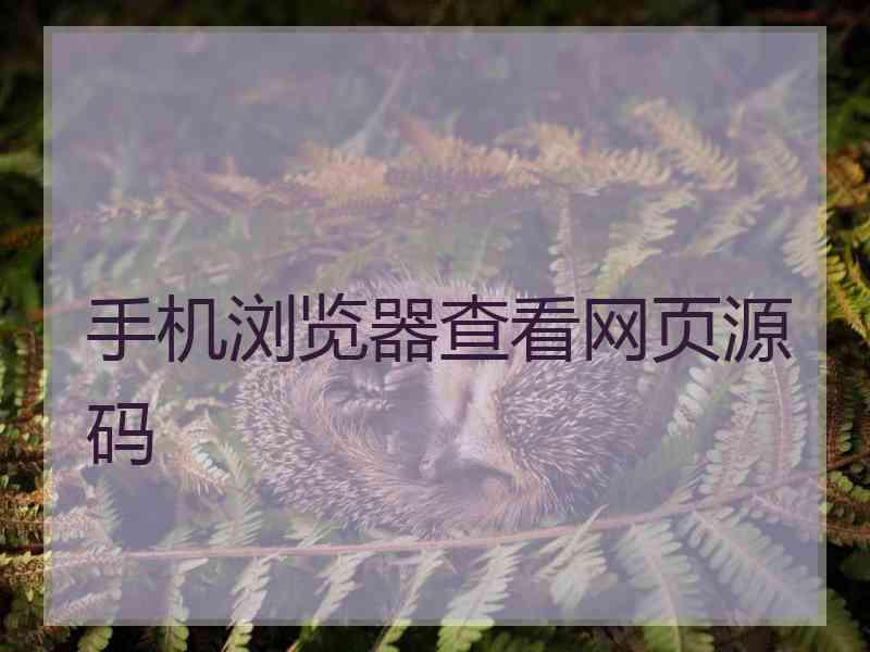 手机浏览器查看网页源码