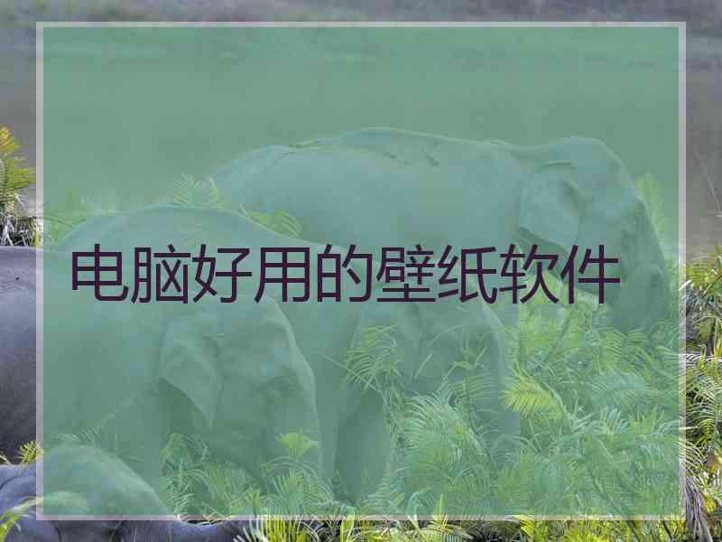 电脑好用的壁纸软件