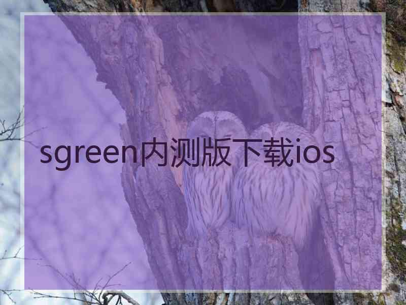 sgreen内测版下载ios