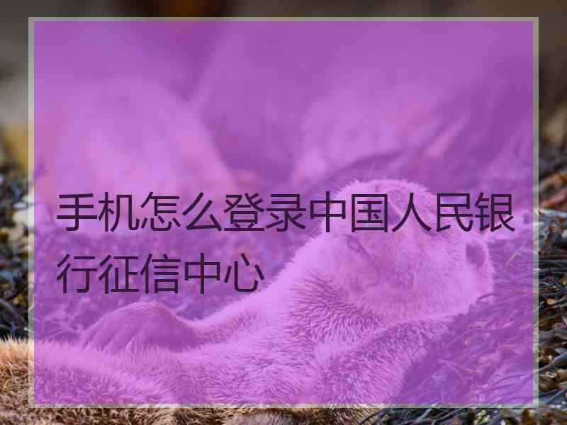 手机怎么登录中国人民银行征信中心