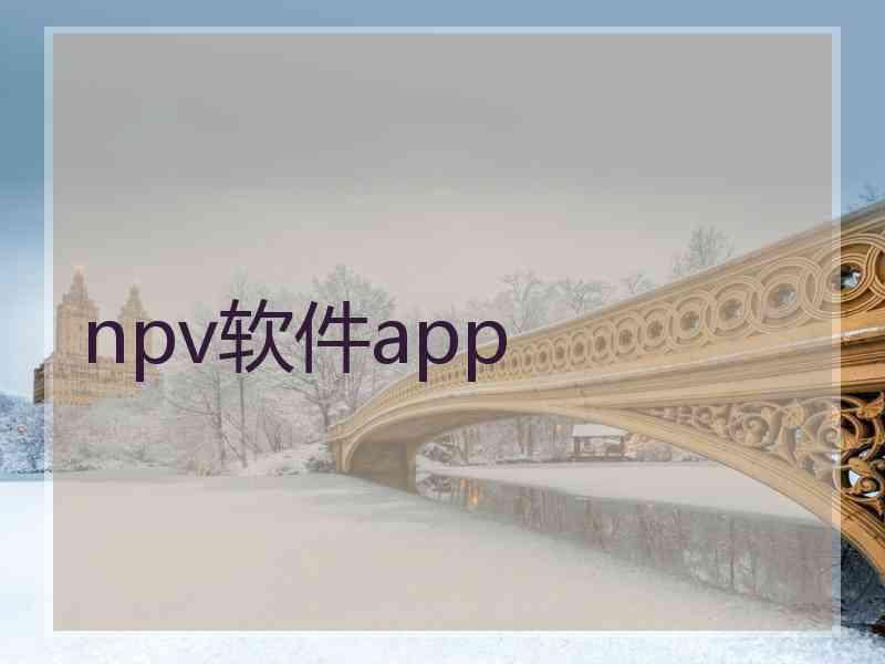 npv软件app