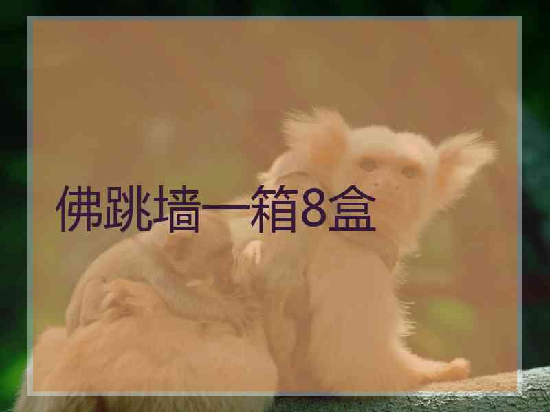 佛跳墙一箱8盒