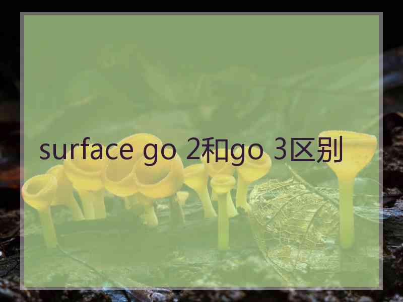 surface go 2和go 3区别