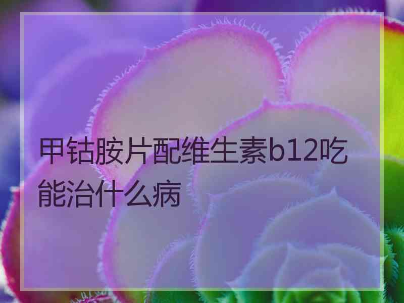 甲钴胺片配维生素b12吃能治什么病
