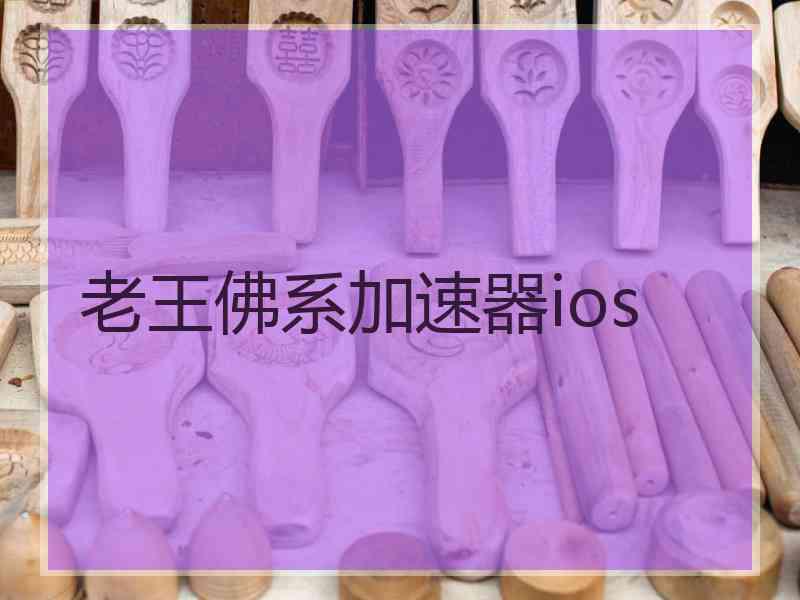 老王佛系加速器ios