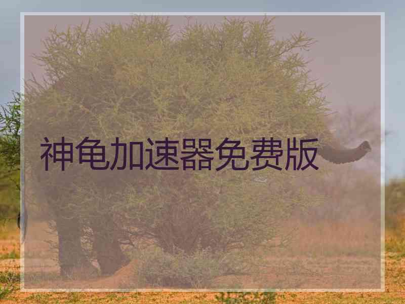 神龟加速器免费版
