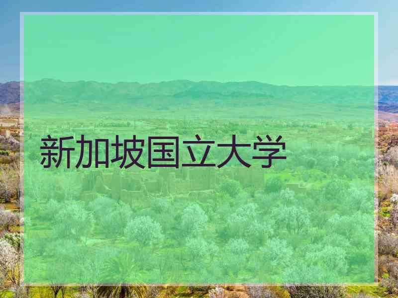 新加坡国立大学