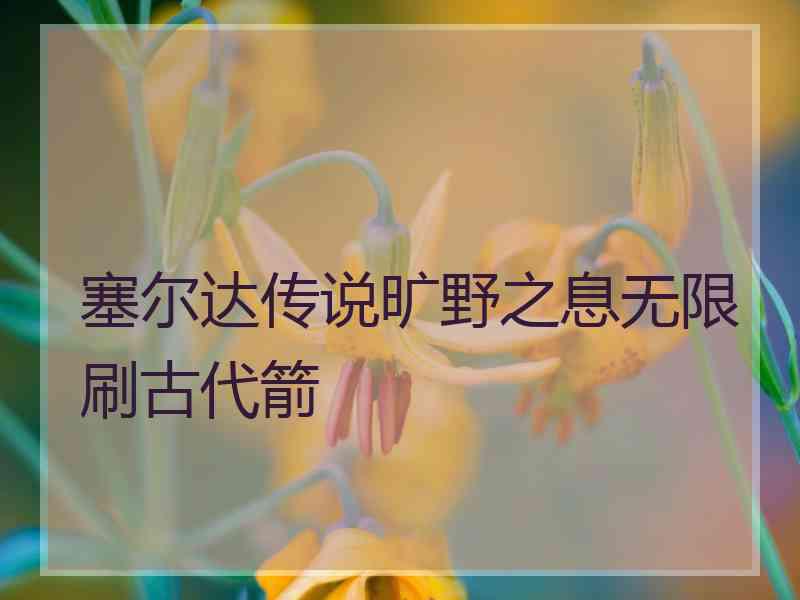 塞尔达传说旷野之息无限刷古代箭