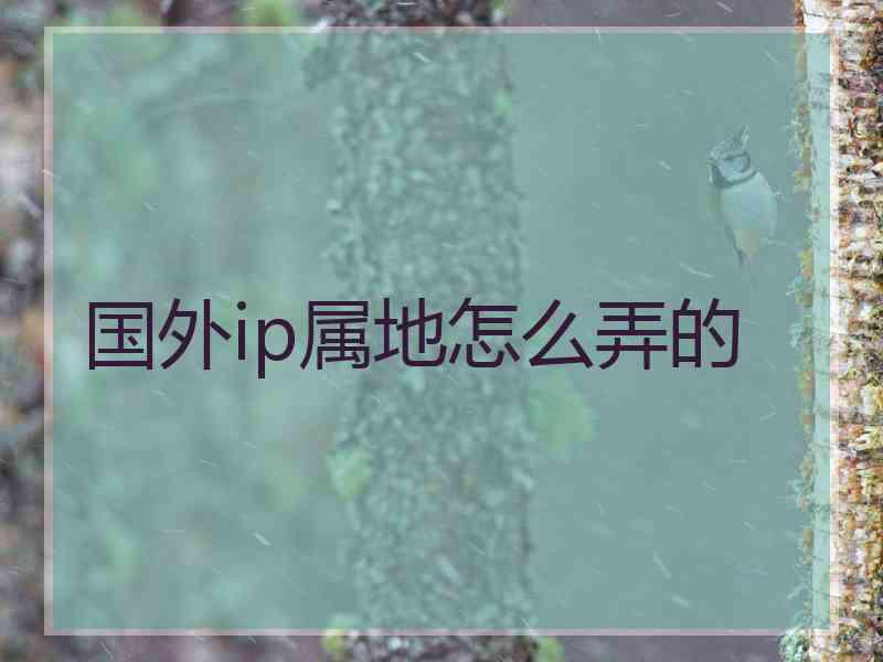 国外ip属地怎么弄的