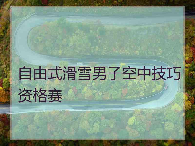 自由式滑雪男子空中技巧资格赛