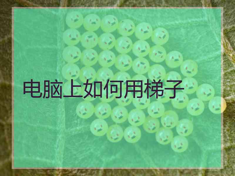 电脑上如何用梯子