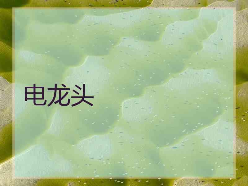 电龙头