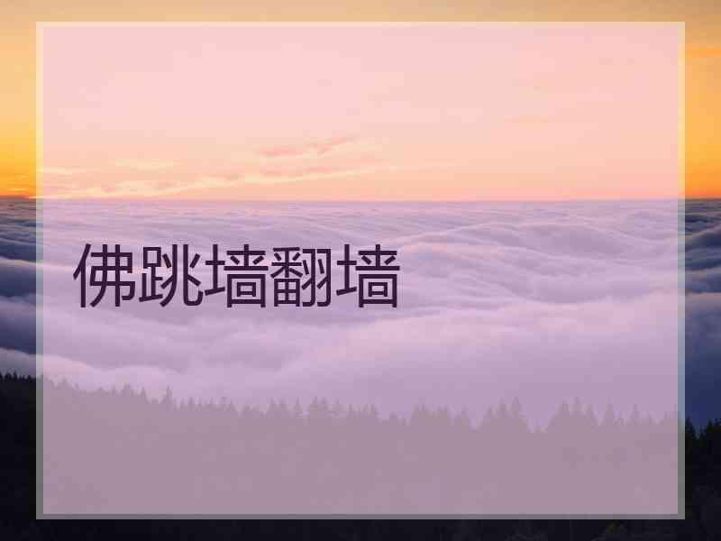 佛跳墙翻墙