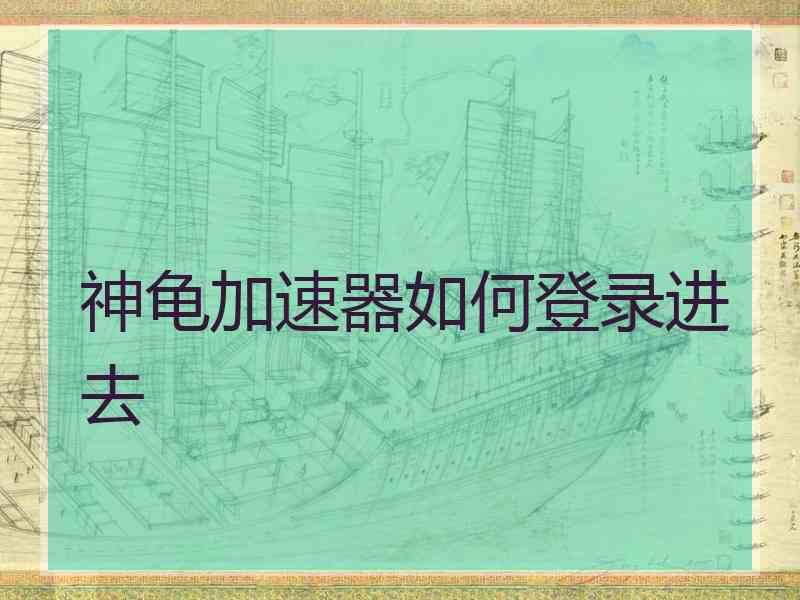 神龟加速器如何登录进去