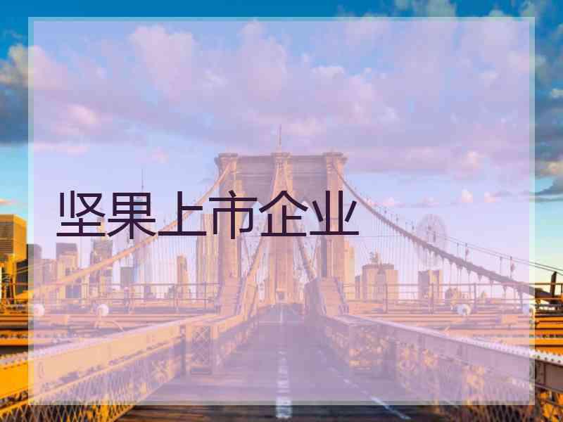 坚果上市企业