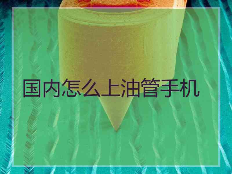 国内怎么上油管手机