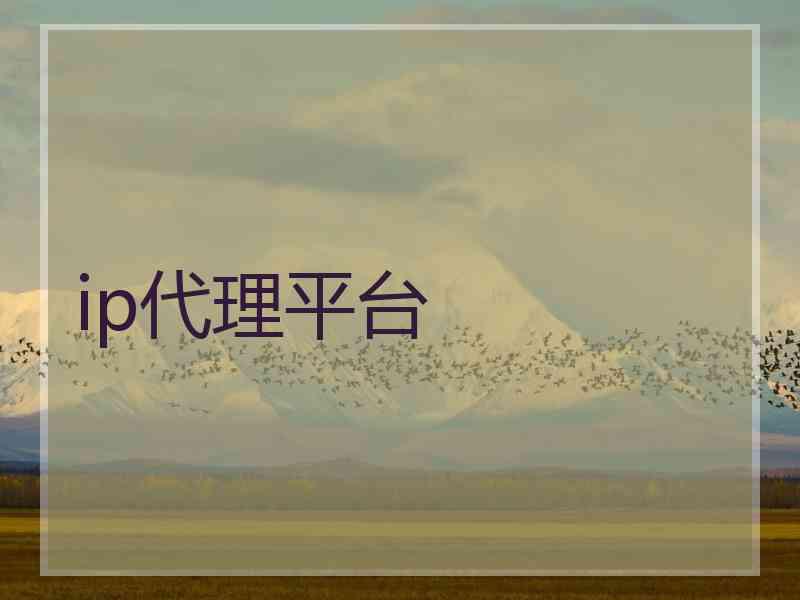 ip代理平台