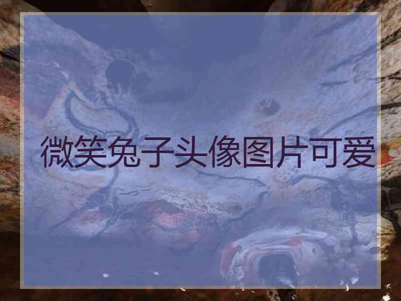 微笑兔子头像图片可爱