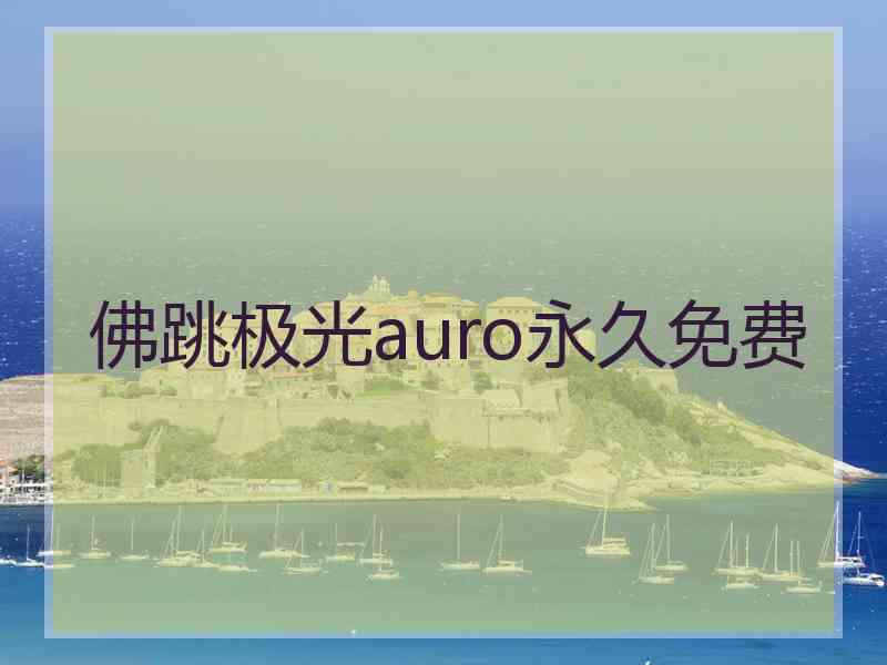 佛跳极光auro永久免费