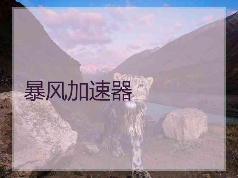 暴风加速器