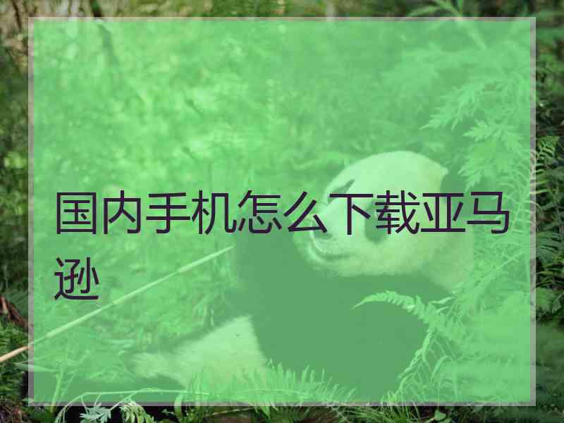 国内手机怎么下载亚马逊