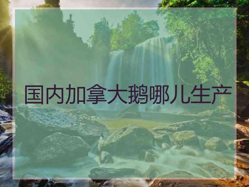 国内加拿大鹅哪儿生产