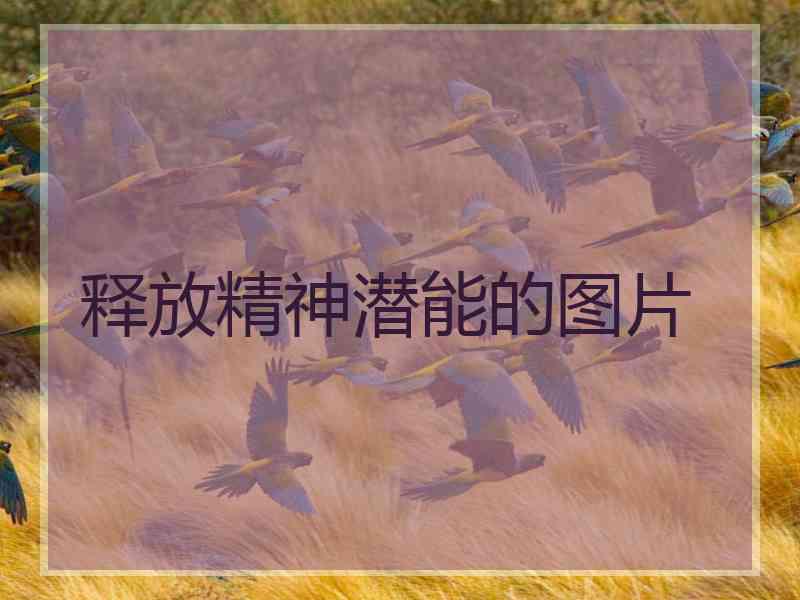 释放精神潜能的图片