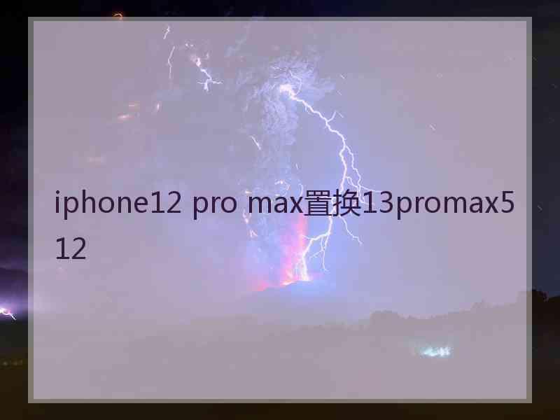 iphone12 pro max置换13promax512