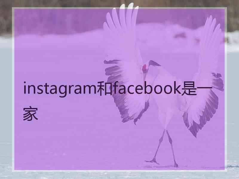 instagram和facebook是一家