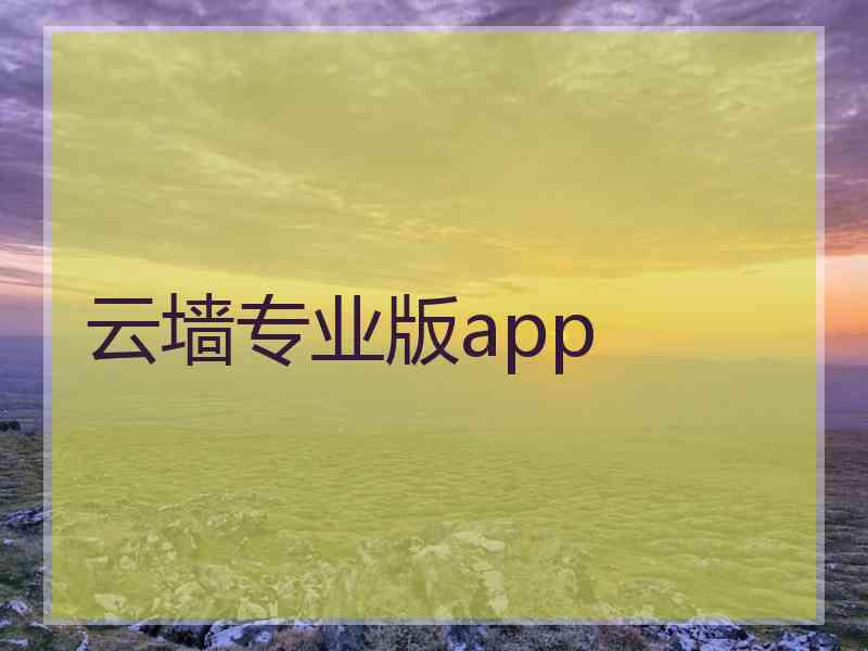 云墙专业版app