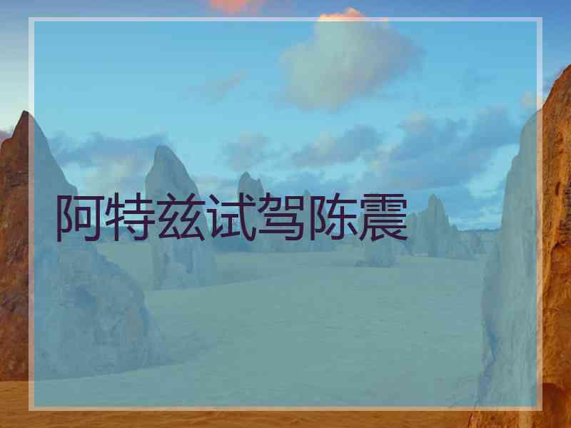阿特兹试驾陈震