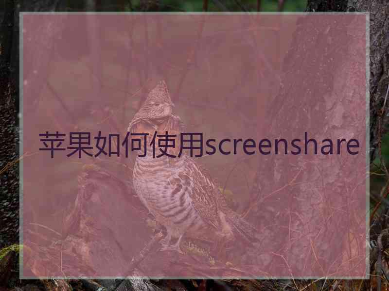 苹果如何使用screenshare