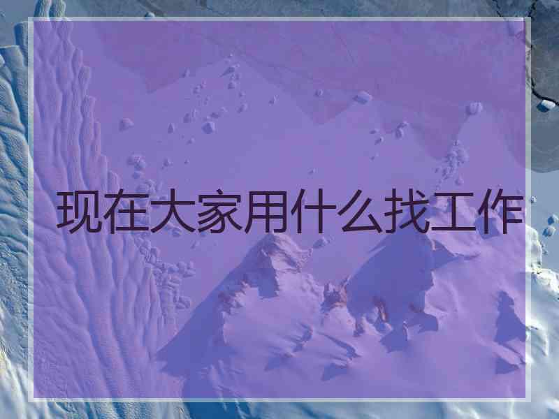 现在大家用什么找工作