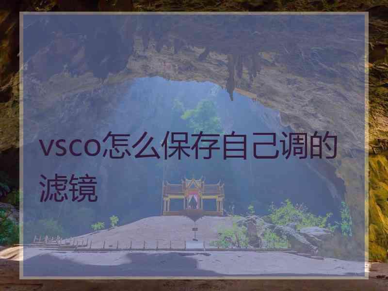 vsco怎么保存自己调的滤镜