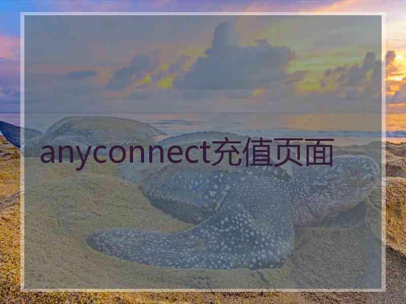 anyconnect充值页面